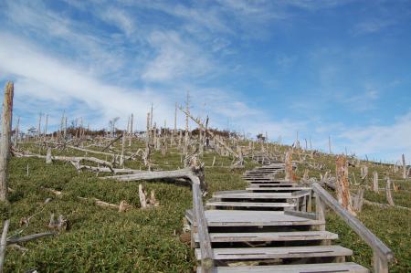 「大台ヶ原直通バス そらかぜ」事前予約制化＆ラutf-8