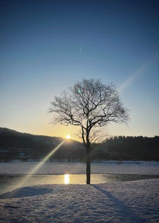 地域おこし協力隊×いいでカヌークラブ が贈る親子で学 地域おこし協力隊×いいでカヌークラブ が贈る親子で学