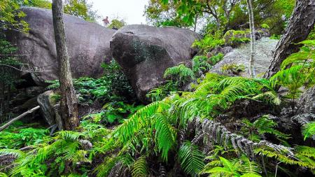 【第2章・淡路島】密林に封印された巨大巨石群。人面