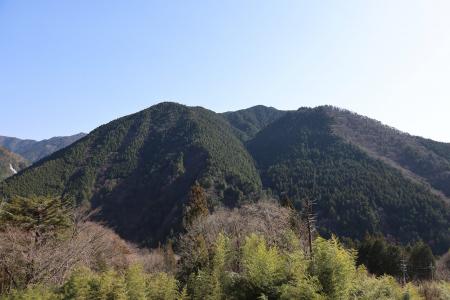 「サントリー 天然水の森 ぎふ中津川」の森林整備に関