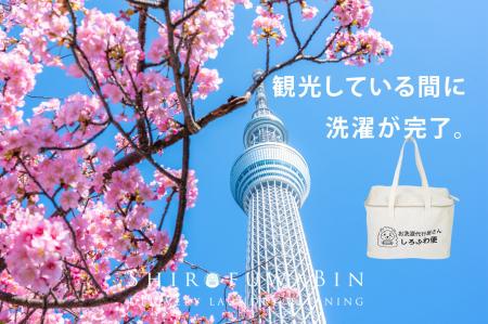 桜シーズンのインバウンド宿泊需要に対応!洗濯代行『 桜シーズンのインバウンド宿泊需要に対応!洗濯代行『