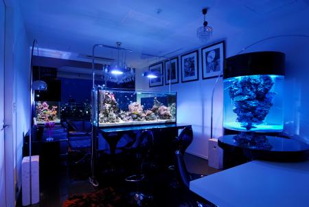 こだわりの極上『デザイナーズ水槽』！アクアリンク株