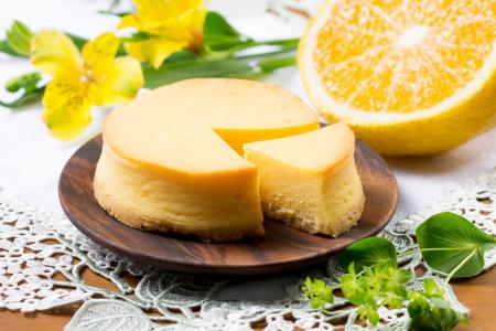 ≪ しっとり食感・濃厚な味わい ≫ さわやかな柑橘の風