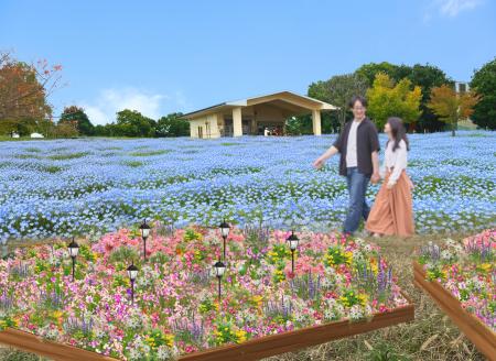 「花と光のムーブメント 舎人公園～ネモフィラと百花