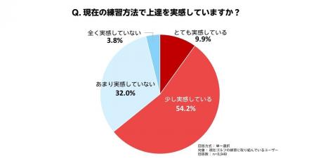 「楽天GORA」、「ゴルフの練習に関するアンケート調査 「楽天GORA」、「ゴルフの練習に関するアンケート調査