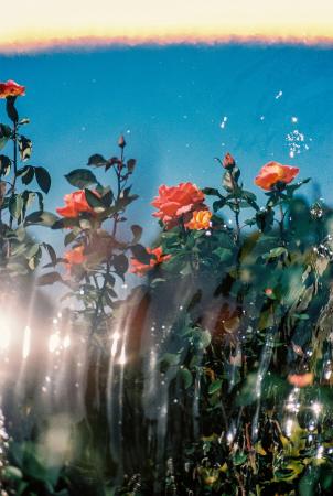 OSAJI(オサジ)初となるギャラリーの柿落としを飾る OSAJI(オサジ)初となるギャラリーの柿落としを飾る