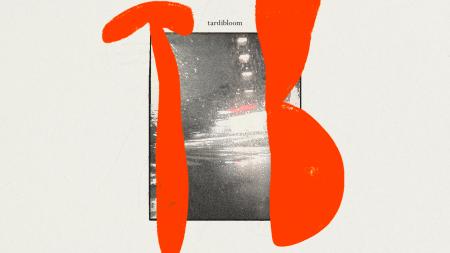 感性を“モノ”として表現するプロジェクト「Tardibloom