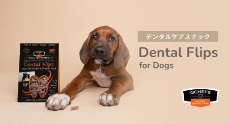 “噛んでケア”という新習慣。QCHEFSの犬用デンタルスナ
