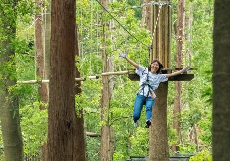 【 「しゅふの笑顔」が日本を元気にする。 】 フォレ 【 「しゅふの笑顔」が日本を元気にする。 】 フォレ