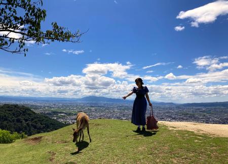インバウンドのお客様に人気の若草山山頂への直utf-8 インバウンドのお客様に人気の若草山山頂への直utf-8