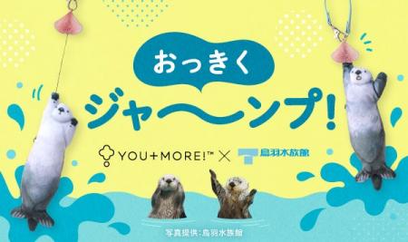 【鳥羽水族館コラボ第３弾】ラッコのメイちゃん＆キラ