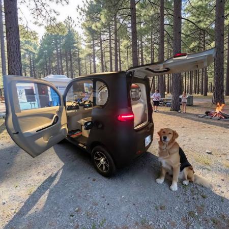 VF-Sカラーバリエーション追加と8周年企画上期決算キ