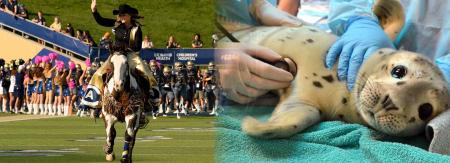 【引率つきグループツアー】グローバルな視点で動物愛