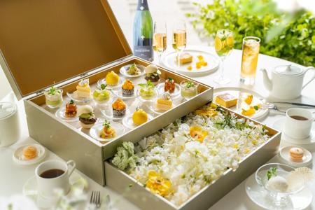 新緑が美しいグラングリーン大阪で楽しむ初夏のアフタ 新緑が美しいグラングリーン大阪で楽しむ初夏のアフタ