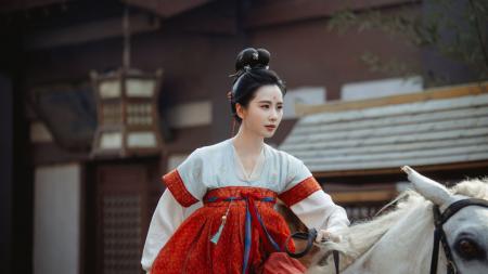 中国ドラマ「掌心～宮廷に響く復讐の鈴音～」DVD-BOX