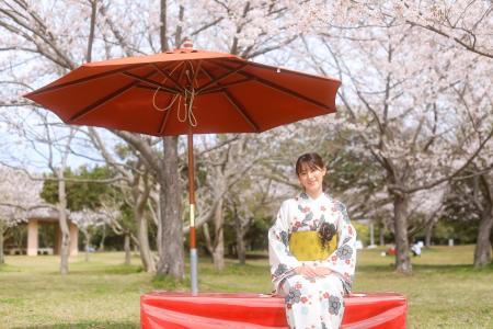 サクラ開花【国営海の中道海浜公園】