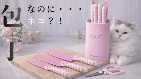 【日本初上陸】可愛いのに驚くほど切れる。保護猫支援