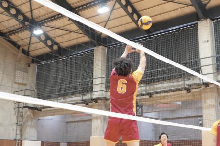 大学スポーツのキャリア問題と新しい選択肢 スポーツ