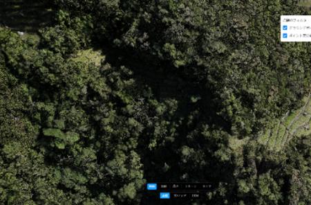 マチュピチュ周辺の密林下で新たな遺跡を確認