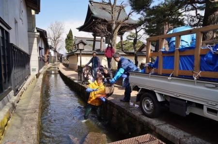 【岐阜県飛騨市】「おかえり、1,000匹の鯉たち！」飛