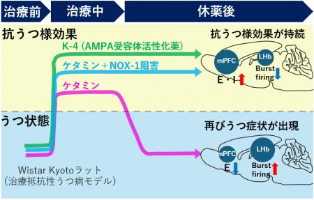【横浜市立大学】ケタミンの抗うつ様効果を“持続utf-8 【横浜市立大学】ケタミンの抗うつ様効果を“持続utf-8