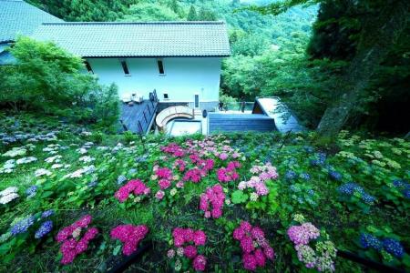 年5%の仕組みを公開するセミナーに、300組以上が申込 年5%の仕組みを公開するセミナーに、300組以上が申込