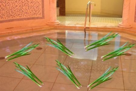 ゴールデンウィークは、日本の伝統を箱根で体験 「菖