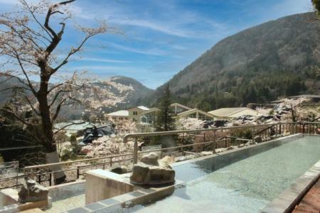 標高600ｍの桜が見頃！次の休日は、箱根でお花見へ！