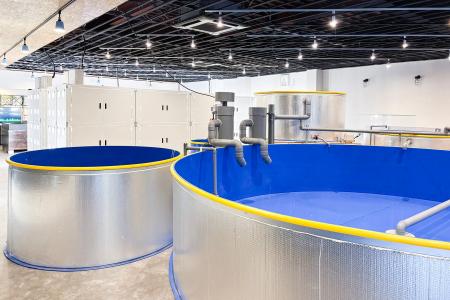 水耕栽培×陸上養殖「アクアポニックス」を見学できる