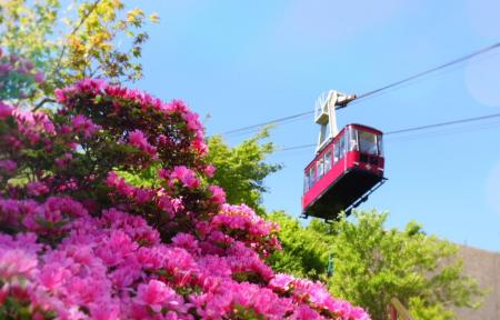 【ミシュラン1キー】長崎・雲仙温泉 旅亭 半水盧　春