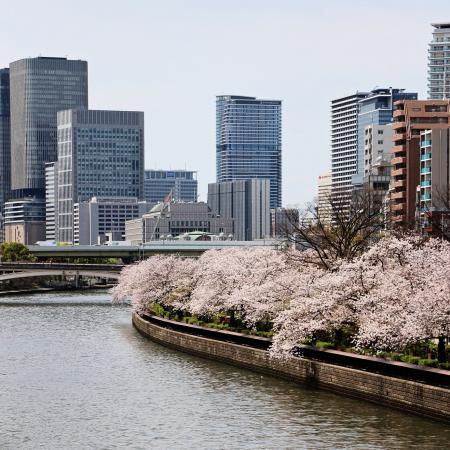 2026年3月版のデータ整備を行いました。