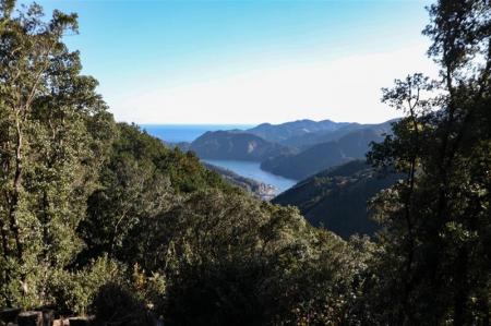 転勤を、企業の「環境貢献」へ法人向け「エシカル引越