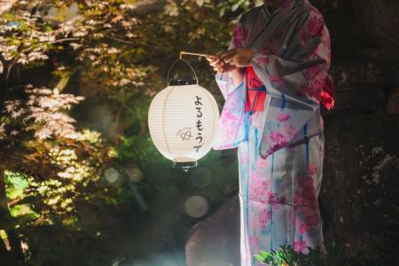 【企画連載 Vol.7】あわら色｜写真家 tomosaki が切り