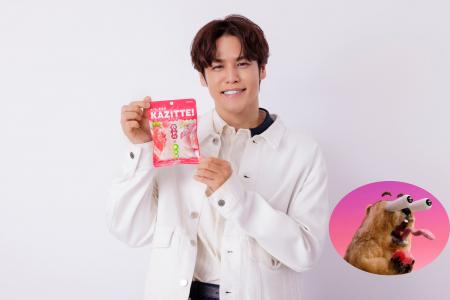 ～ロッテ「カジッテ」WEBCM『新入り』篇～CMの新キャ