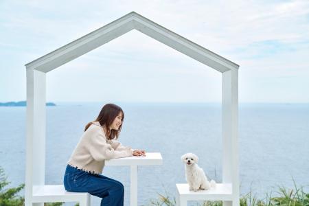 熱海 犬イベント「ACAO DOG FESTA 2026 -Spring-」、