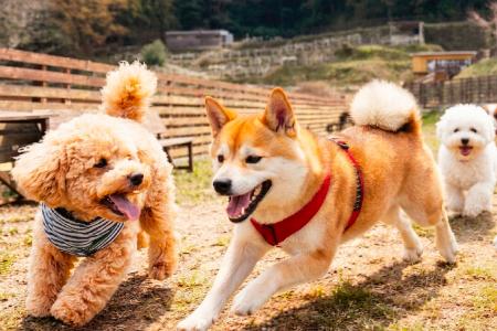 【奈良・生駒】4月4日（土）】あの人気スポットがさら