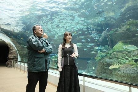 SKE48鎌田菜月、初となる児童書『水族館の達人に聞い