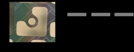 アクセプタ不純物をイオン注入したルチル型二酸化ゲル