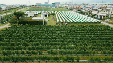 “日本ワイン”をカジュアルに楽しむ。NY発祥の「THE CI