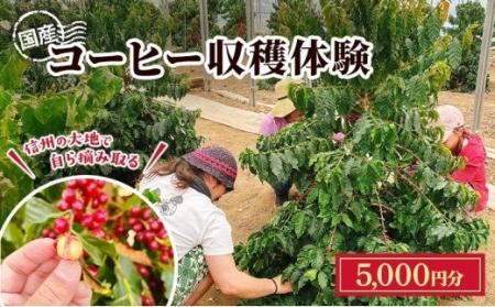 【長野県東御市】上田市との共通ふるさと納税返礼品と