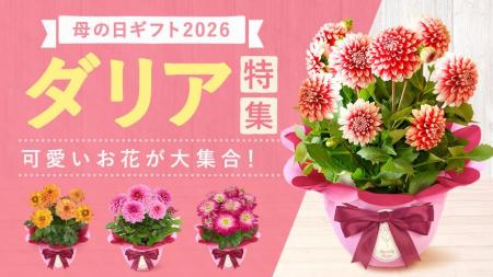 「今年は特別だね！」と喜ばれる、母の日主役級お花の