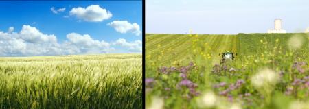 再生農業で栽培し環境負荷を低減した麦芽「Regenova(