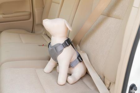 車のシートベルトを通すだけでペットの動きを制utf-8