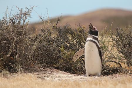 【すみだ水族館】4月25日は世界ペンギンの日!
utf-8 【すみだ水族館】4月25日は世界ペンギンの日!
utf-8
