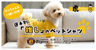 虎たろうSHOP新商品×阪神タイガース 選手別「推し」 虎たろうSHOP新商品×阪神タイガース 選手別「推し」