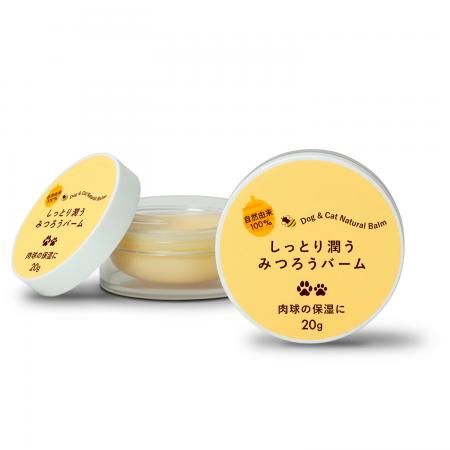 約47.7％のペットがケガ・事故を経験。見落とされがち