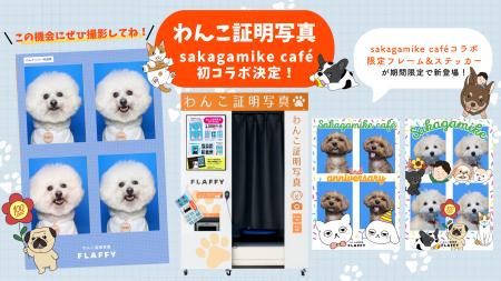 FLAFFY「わんこ証明写真」がsakagamike cafeと初コラ FLAFFY「わんこ証明写真」がsakagamike cafeと初コラ