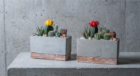 置くだけで空間がすっと整う。無機質な鉢に「緑が静か