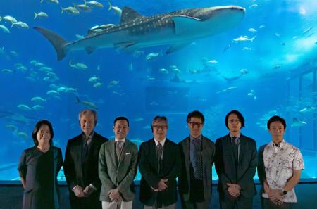 ジンベエザメなどの健康状態を“見える化”へ軟骨魚類の ジンベエザメなどの健康状態を“見える化”へ軟骨魚類の