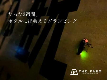 初夏の3週間の光を滞在体験に。農園リゾートTHE FARM